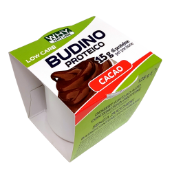 why nature WHY Nature BUDINO Proteico 125g Low Carb Cacao
