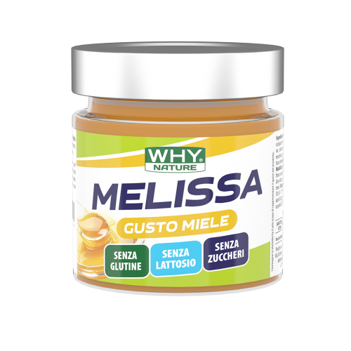 WHY Nature MELISSA SPALMABILE gusto Miele 225g