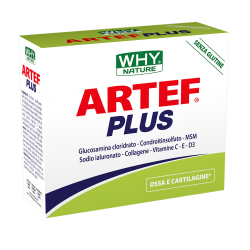 why nature WHY Nature ARTEF PLUS 24 bustine